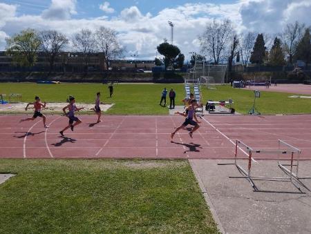 Imagen Las finales de Atletismo en Pista Escolar concluyen con las deportistas Cadete como mejores representantes de la provincia