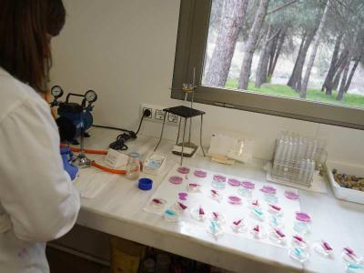 Imagen El laboratorio de la Diputación destaca el esfuerzo realizado por los municipios en las piscinas para minimizar el impacto de la COVID 19