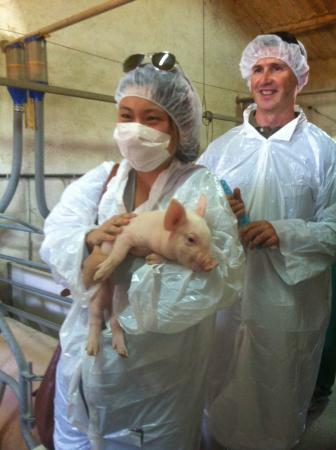 Imagen La Revista Epicure destaca las semejanzas de las culturas segoviana y china en torno al cerdo