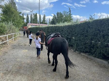 Imagen La Diputación de Segovia aprueba las bases del Programa de Iniciación a la Hípica que acercará esa disciplina a nuevos jinetes de la provincia